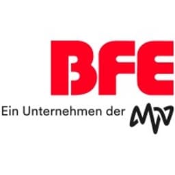 BFE Institut für Energie und Umwelt GmbH logo