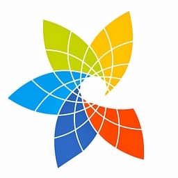 Collective Leadership Institute logo