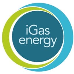 iGas energy GmbH logo