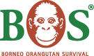 Borneo Orangutan Surival