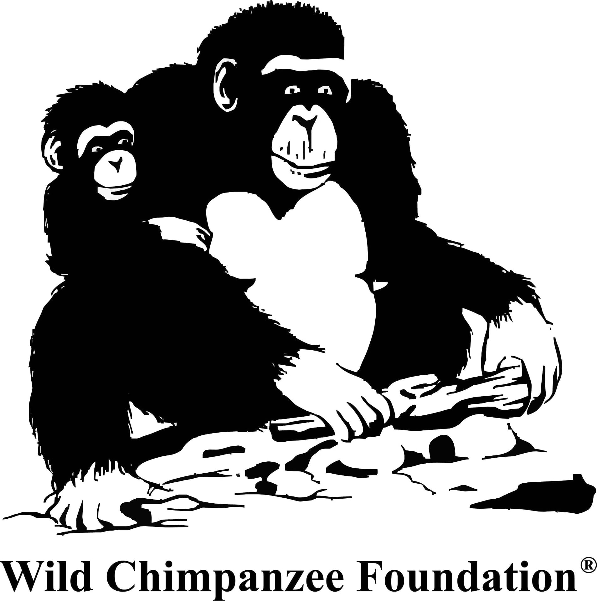 WILD CHIMPANZEE FOUNDATION (WCF)