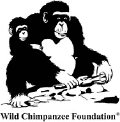 WILD CHIMPANZEE FOUNDATION (WCF)