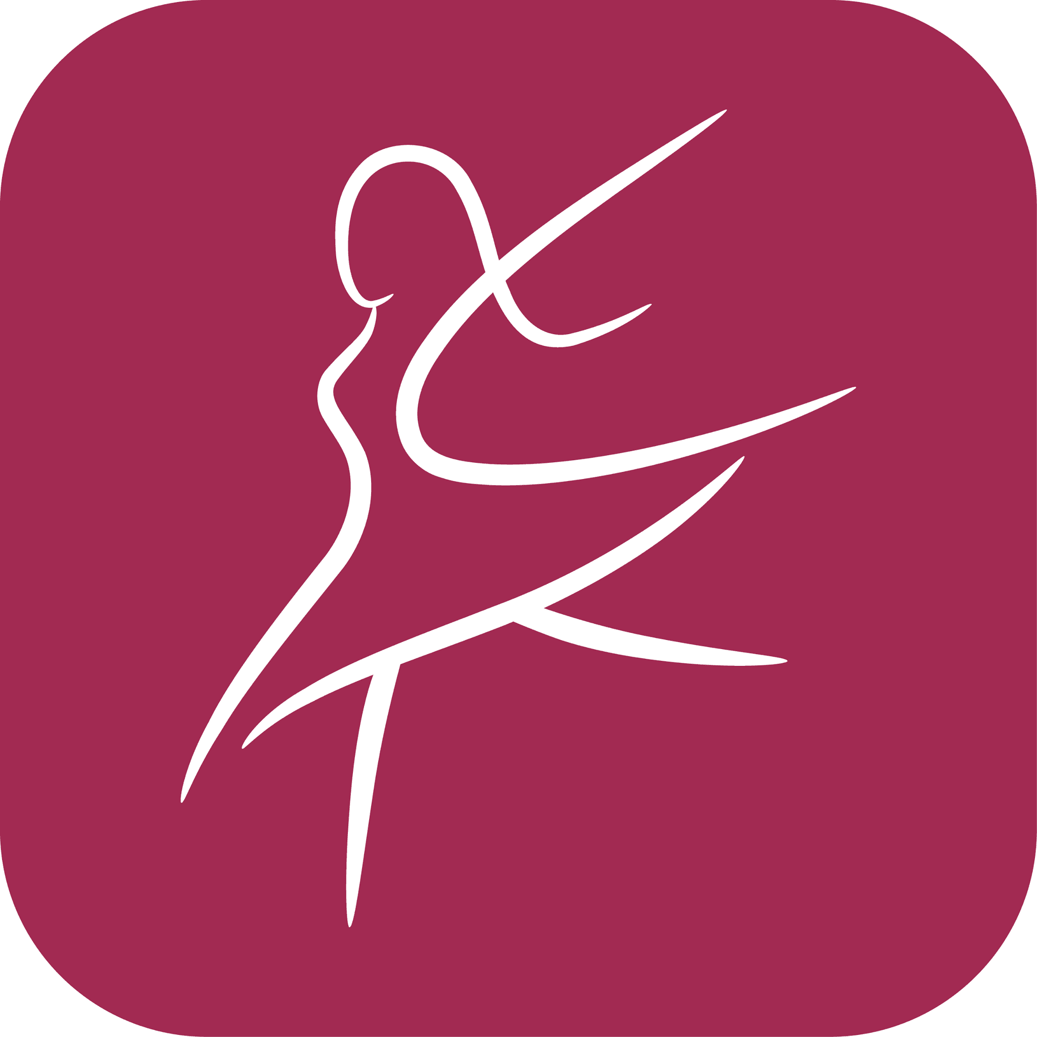 Endometriose App logo