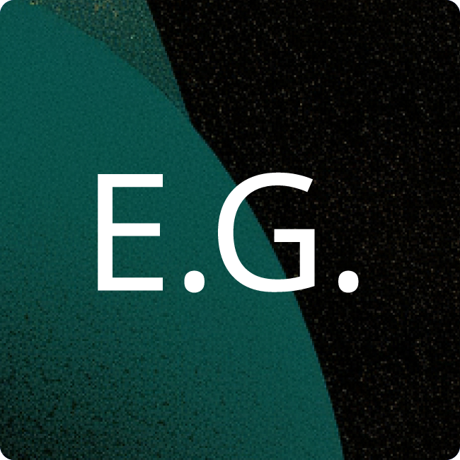 ENVISYS GmbH & Co. KG logo