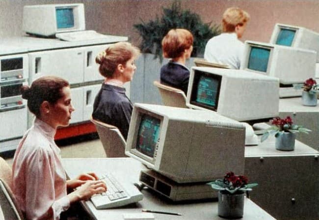 Software, Daten & IT