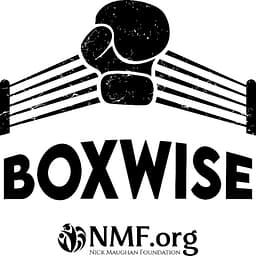 Boxwise Foundation logo