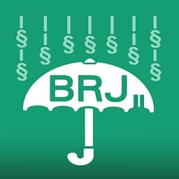 Berliner Rechtshilfefonds Jugendhilfe logo