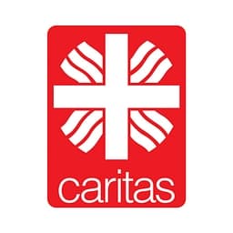 Caritasverband für den Rhein-Erft-Kreis e.V. logo