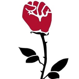 Frauen lernen gemeinsam logo