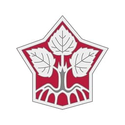 DOMOWINA – Zwjazk Łužiskich Serbow logo
