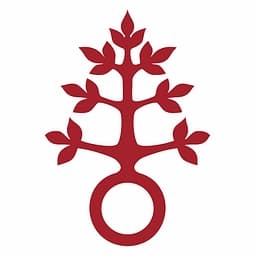 Dominikus-Ringeisen-Werk logo
