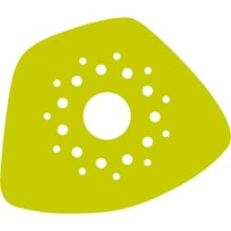 Kiwigrid logo
