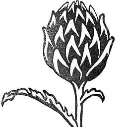 KoLa Leipzig eG logo