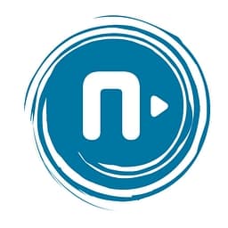 netzwerk n e.V. logo