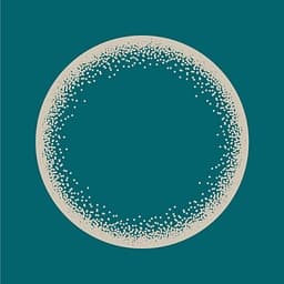 Forum New Economy logo