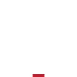 Ring deutscher Pfadfinder*innenverbände logo