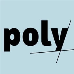 POLYSPEKTIV logo
