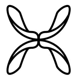 Skyseed logo