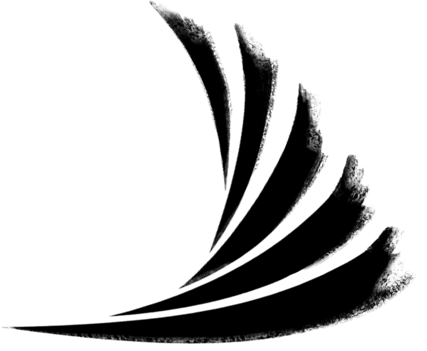 Wir machen Welle logo