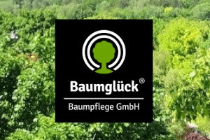 Breeze Technologies logo