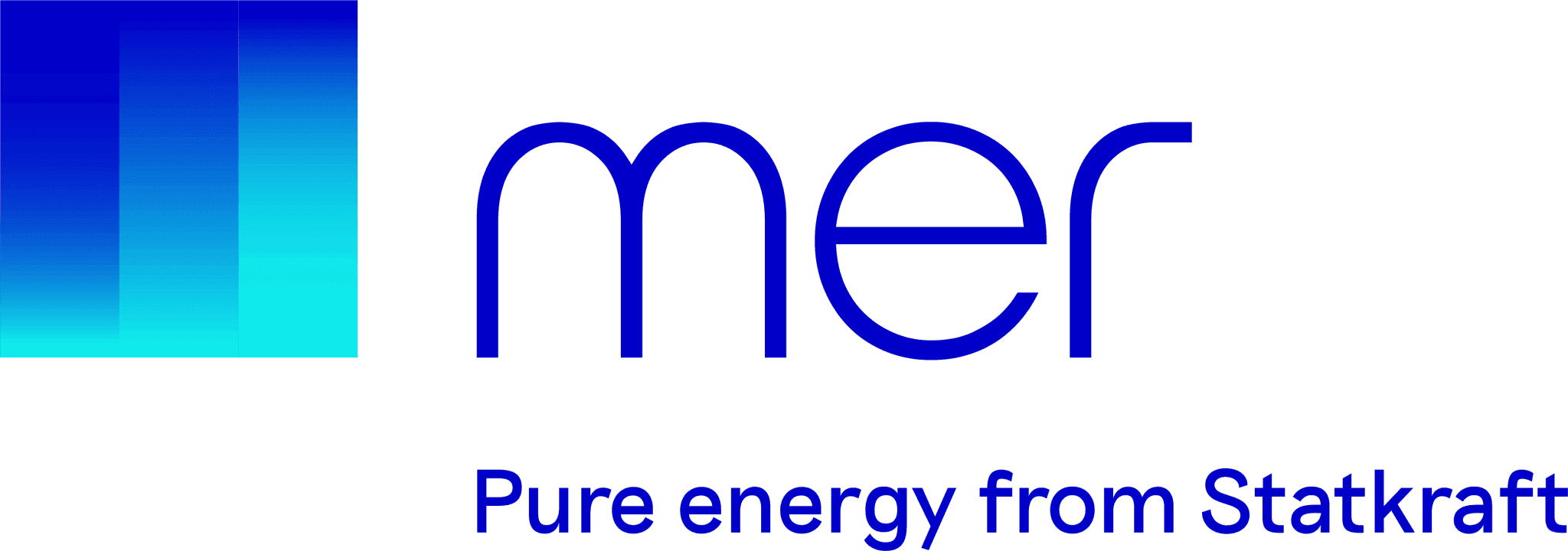 mer logo
